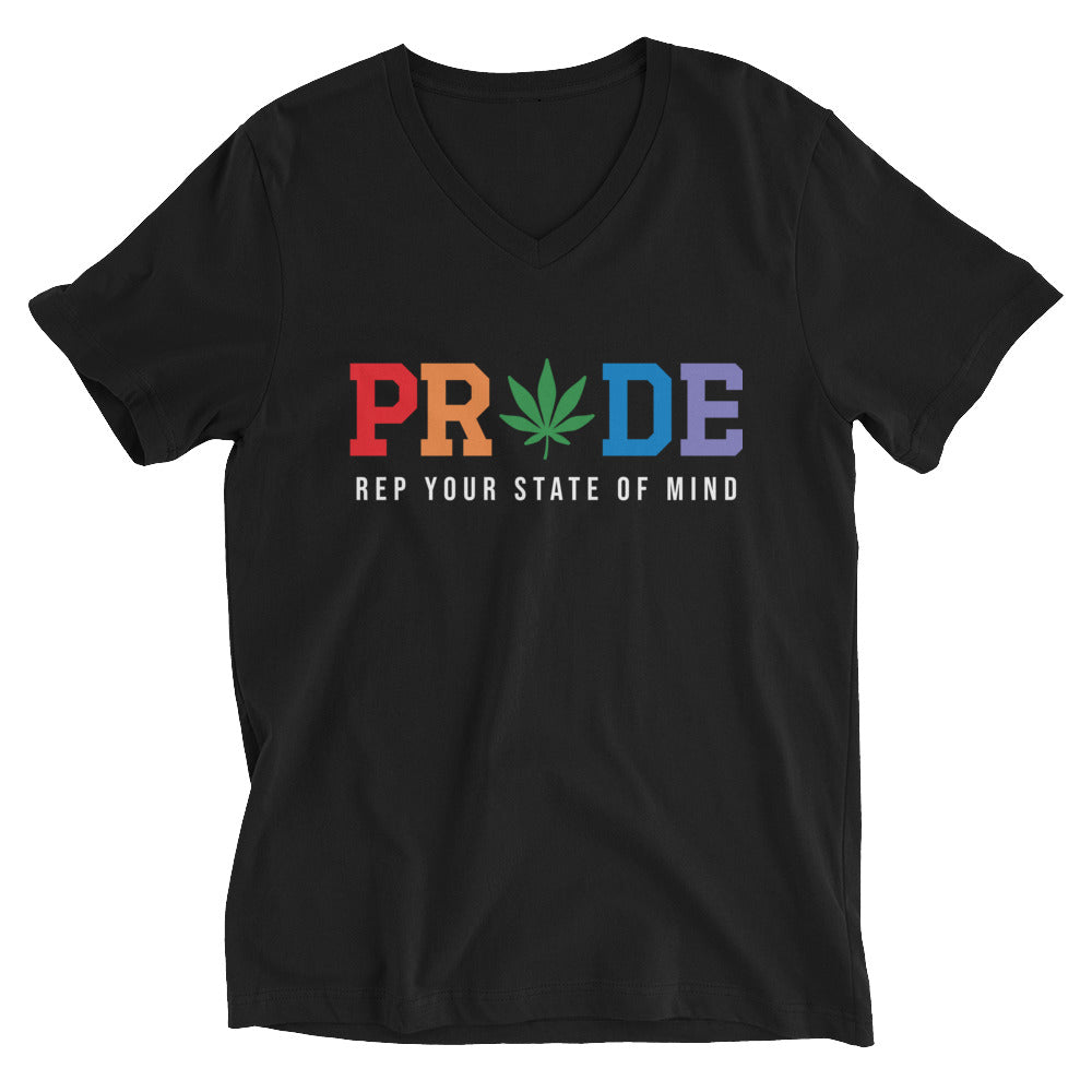 Rep Your PRIDE Unisex Short Sleeve V-Neck T-Shirt