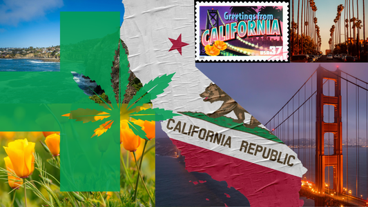 REP USA 2026: California Love & Cannabis Pride 🐻🌿
