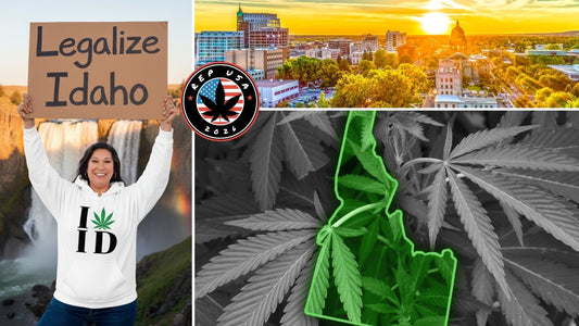 7 Questions Idaho Must Ask About Cannabis Normalization