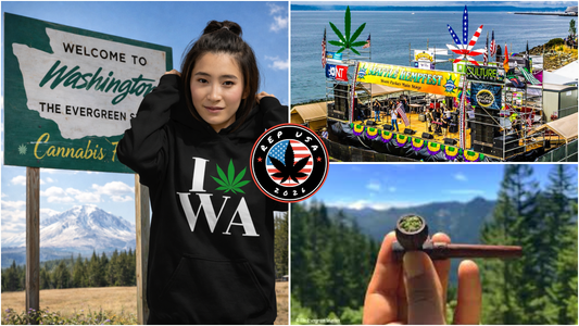 Washington and Cannabis: 7 Important Questions to Consider